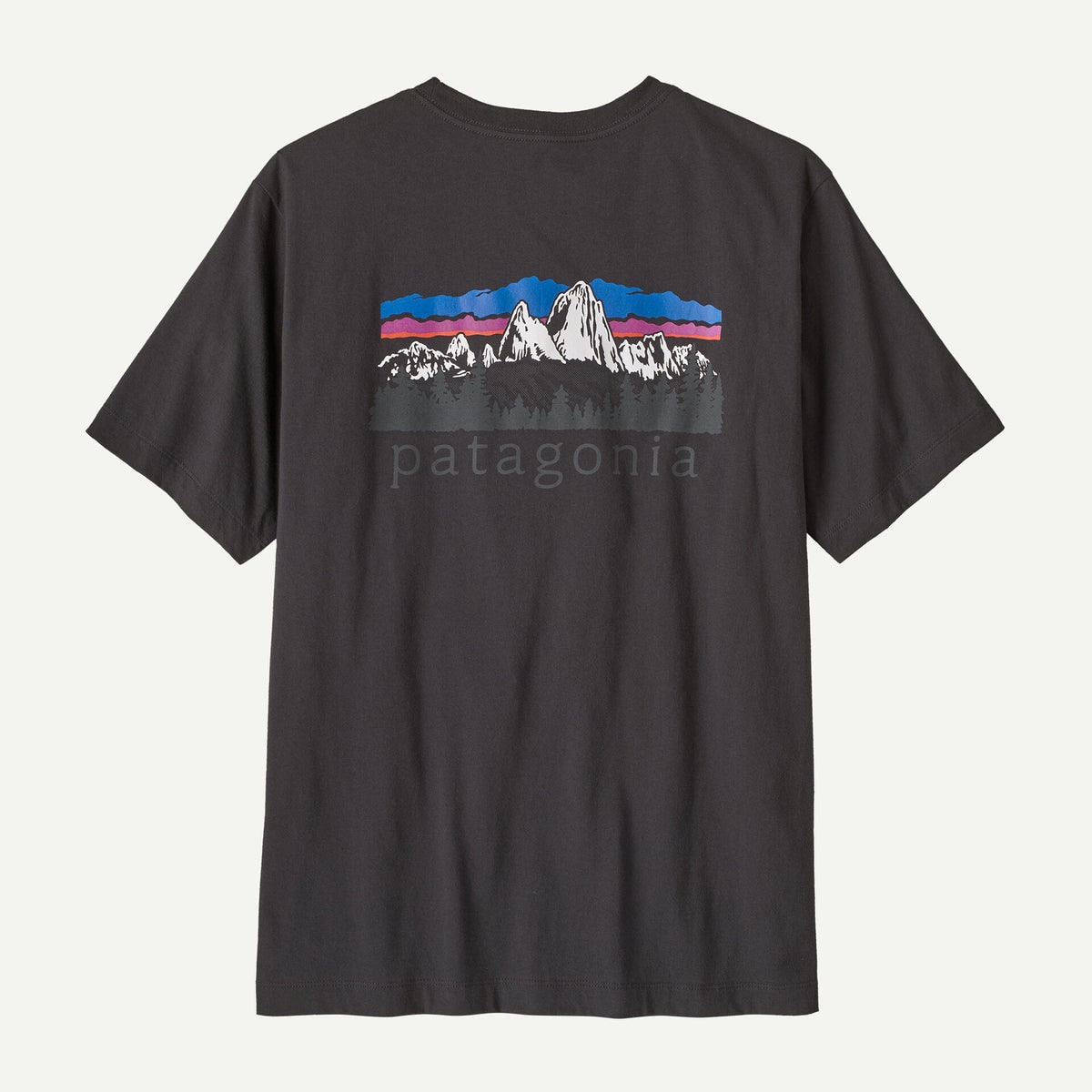 Fitz Roy Foothills T-Shirt (Men's) - 37887