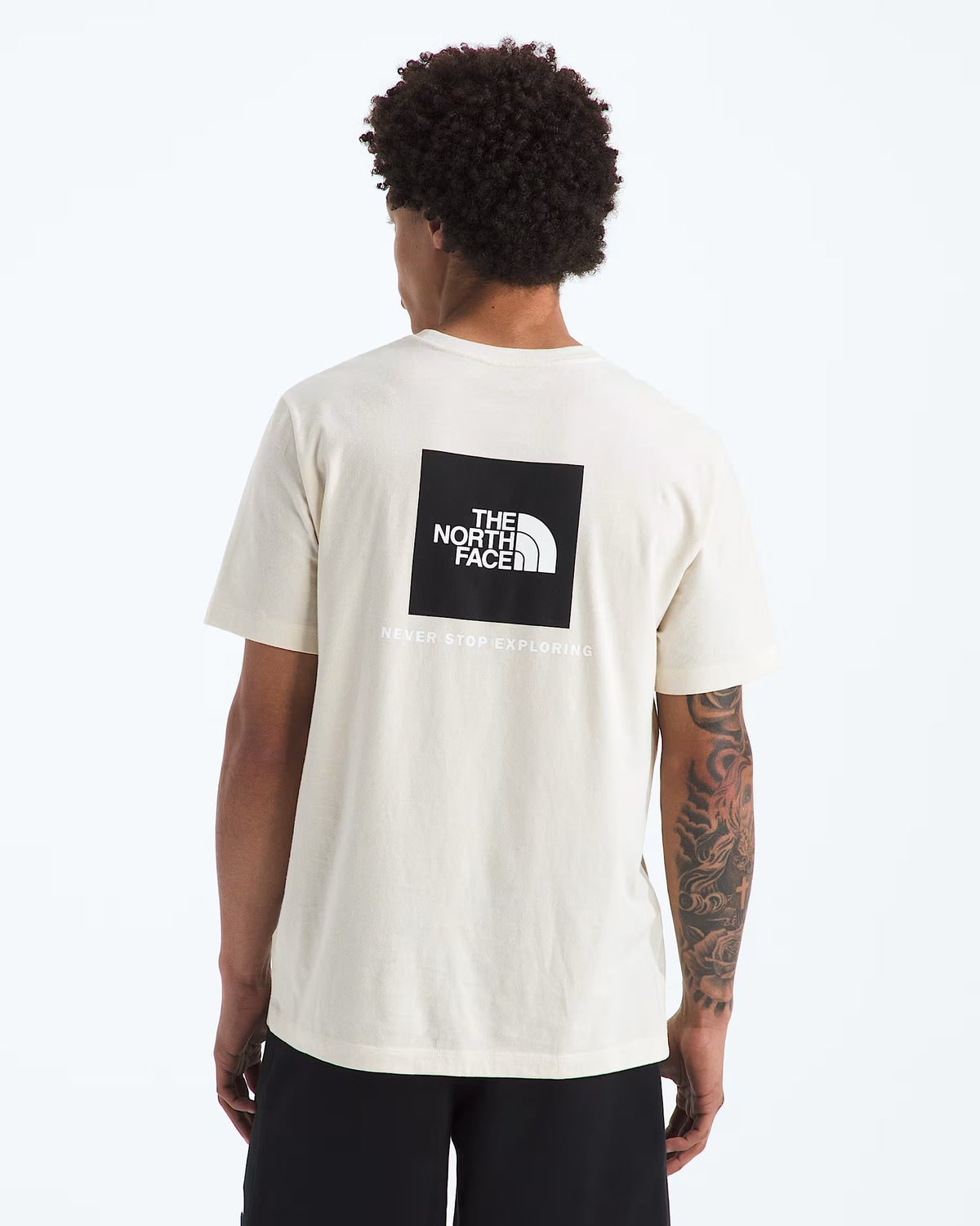 Evolution Box NSE Regular Short-Sleeve Tee (Men's) - NF0A8B6K