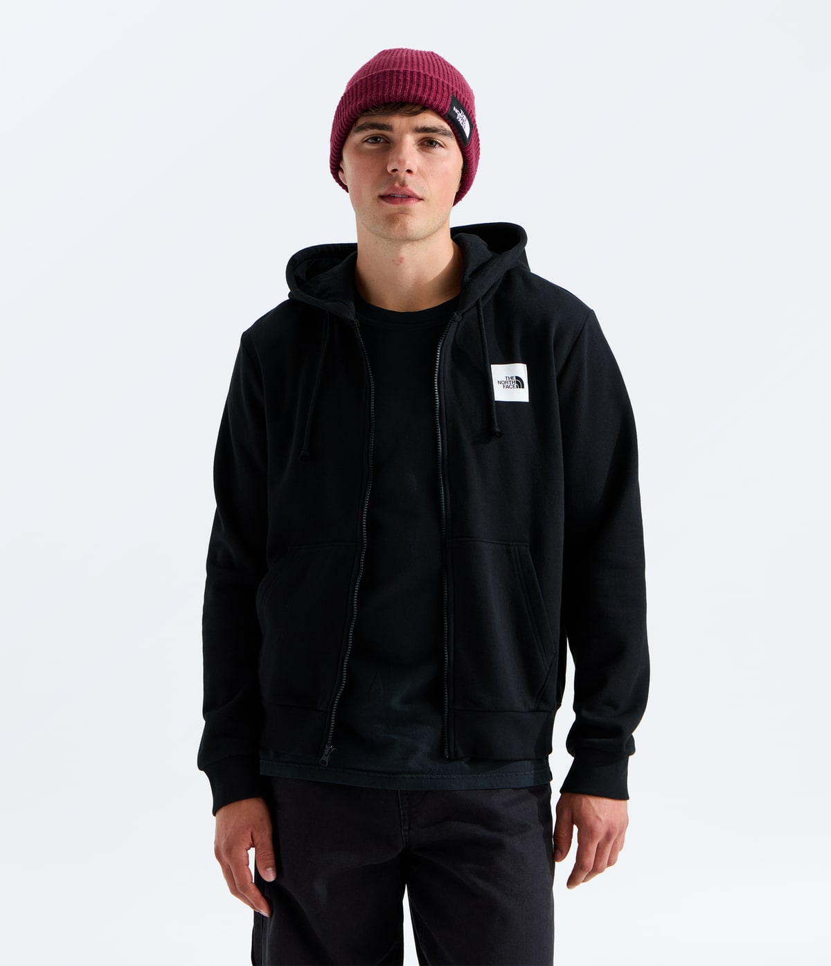 Evolution Box Half Dome Regular Full Zip Hoodie (Men's) - NF0A8JAZ